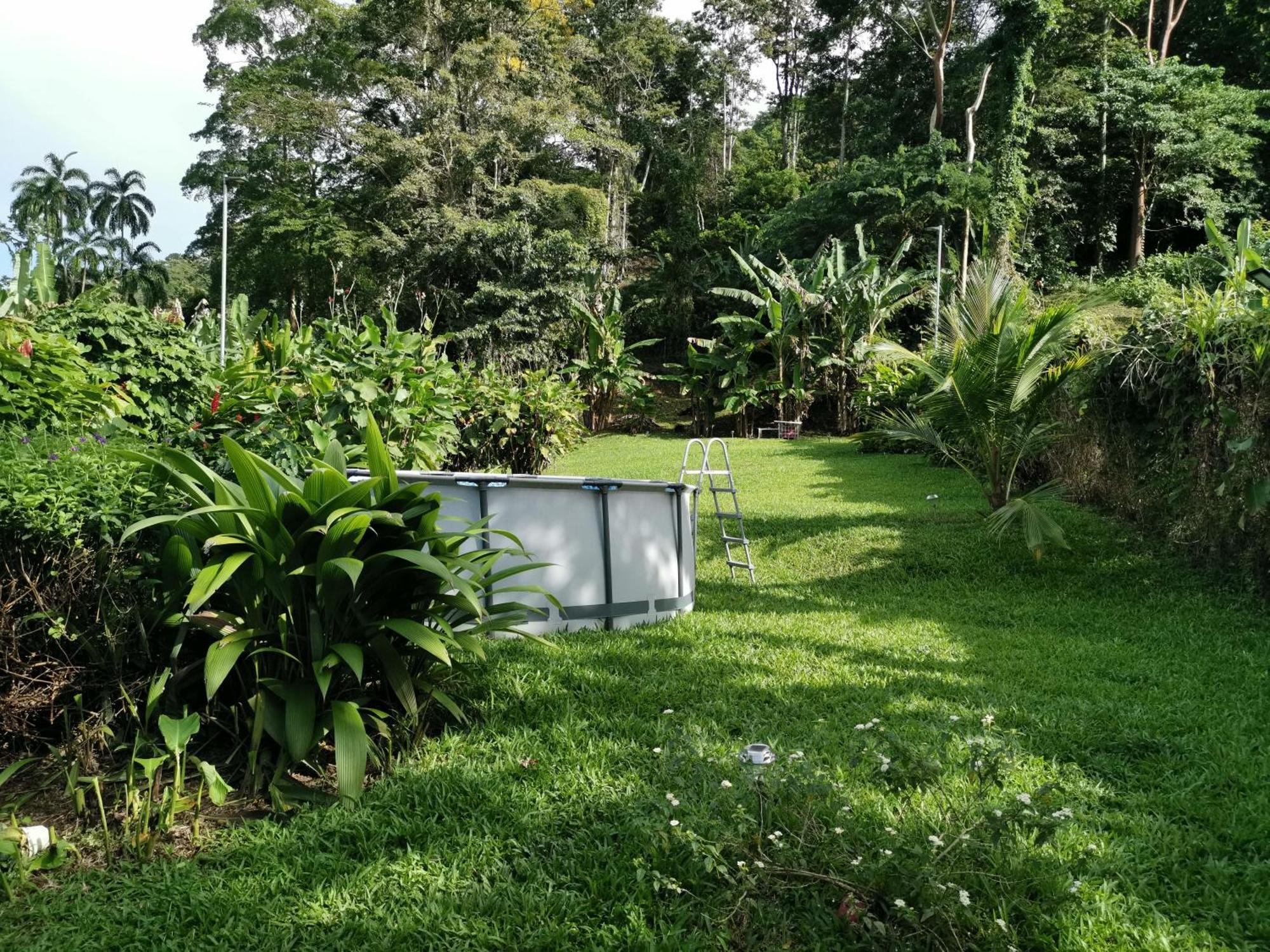 Casa Echavarria San Jose  Phòng bức ảnh